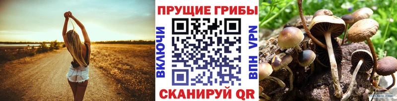 наркошоп  Верхний Тагил  Псилоцибиновые грибы ЛСД 